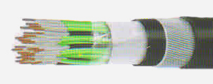 Fire Survival Cables (FS)